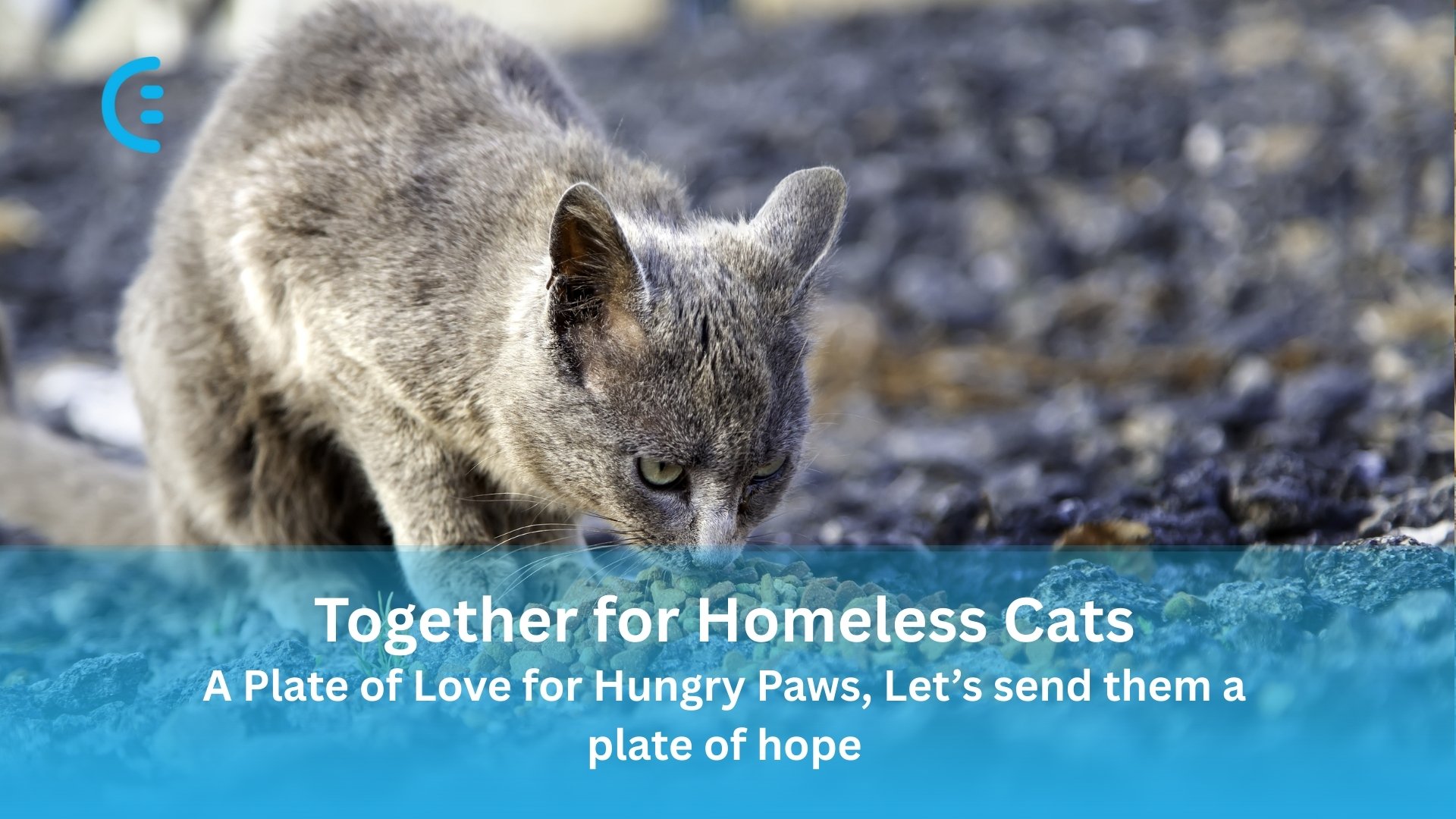Campaign Image